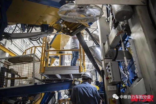 从橡胶到赛道 Vittoria轮胎泰国工厂的深层生产逻辑